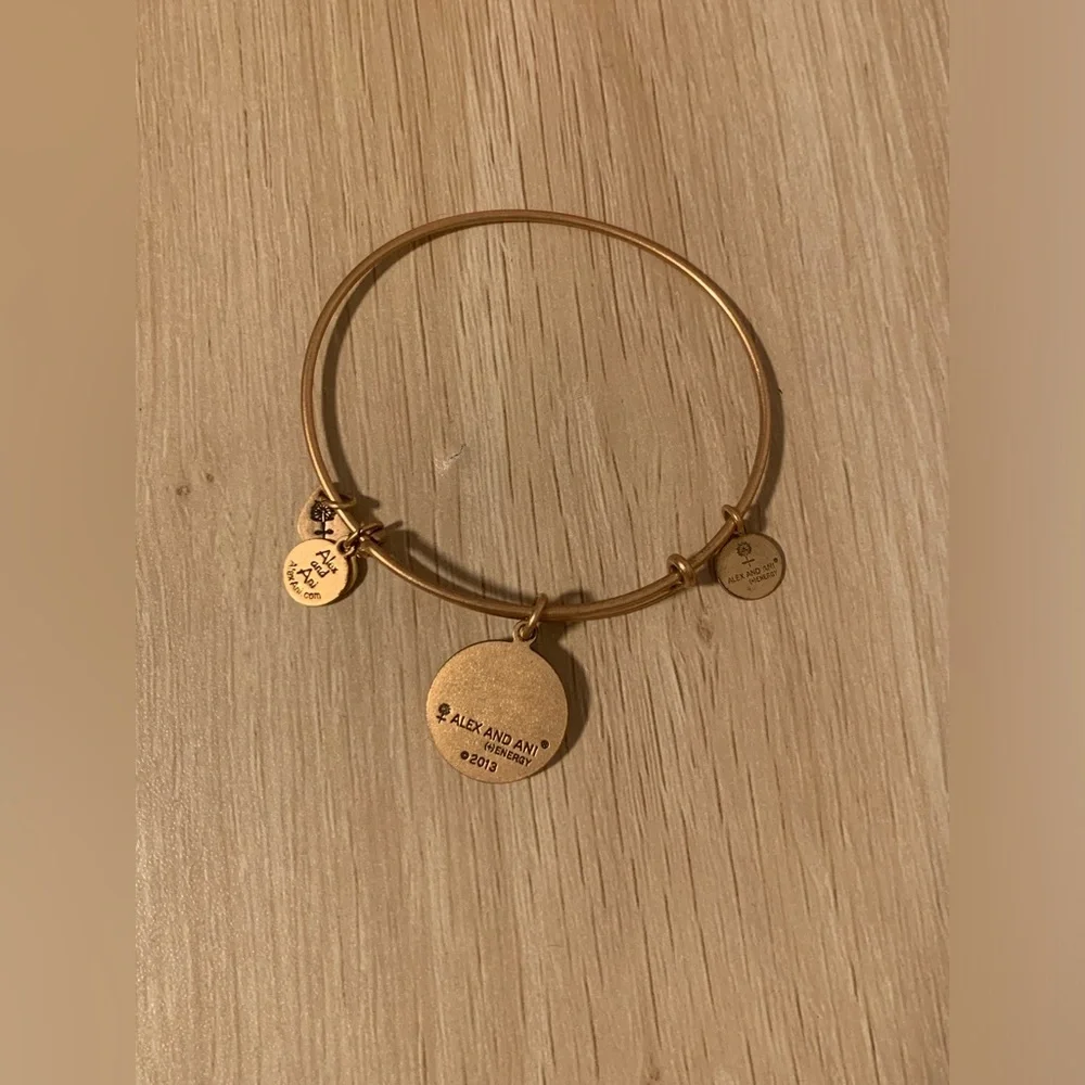 Preloved Alex and Ani Scorpio Charm Bracelet